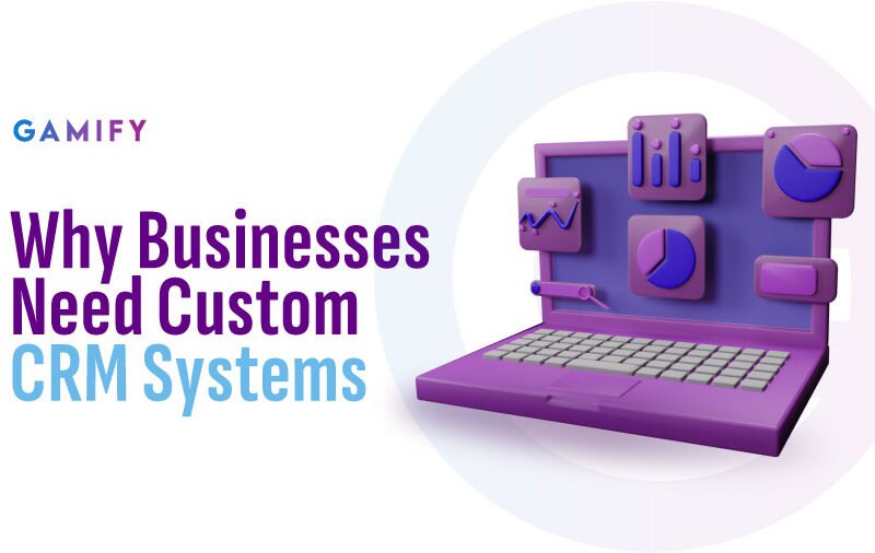 Custom CRM Systems
